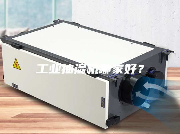 工業(yè)抽濕機哪家好？