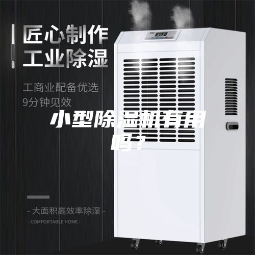 小型除濕機(jī)有用嗎？