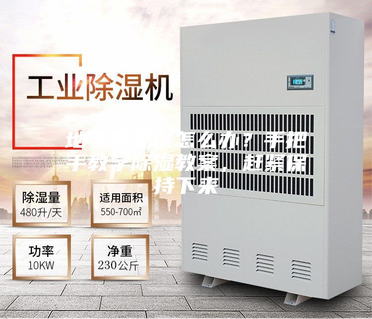地下室潮濕怎么辦？手把手教學(xué)除濕教案，趕緊保持下來