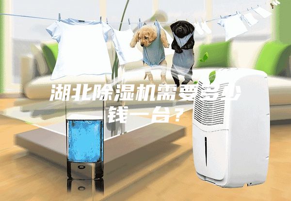 湖北除濕機需要多少錢一臺？