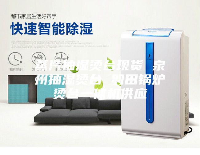 蒸汽抽濕燙臺現(xiàn)貨 泉州抽濕燙臺 羽田鍋爐燙臺一體機(jī)供應(yīng)