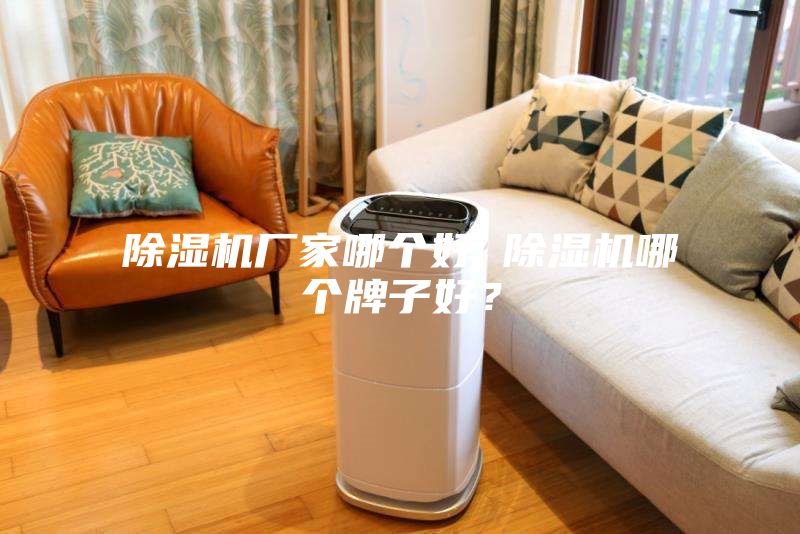 除濕機廠家哪個好 除濕機哪個牌子好？