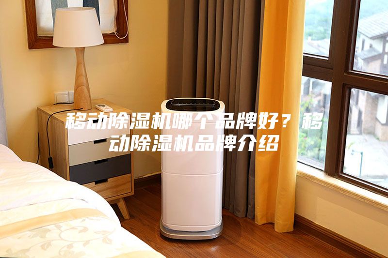 移動除濕機(jī)哪個品牌好？移動除濕機(jī)品牌介紹