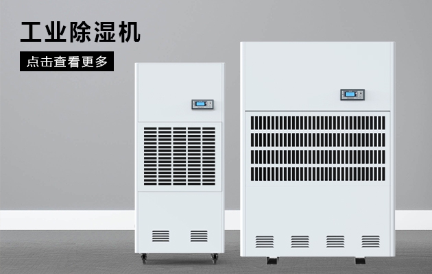 梅雨季回南天快到了，該如何強力除濕，把晴天裝進家？