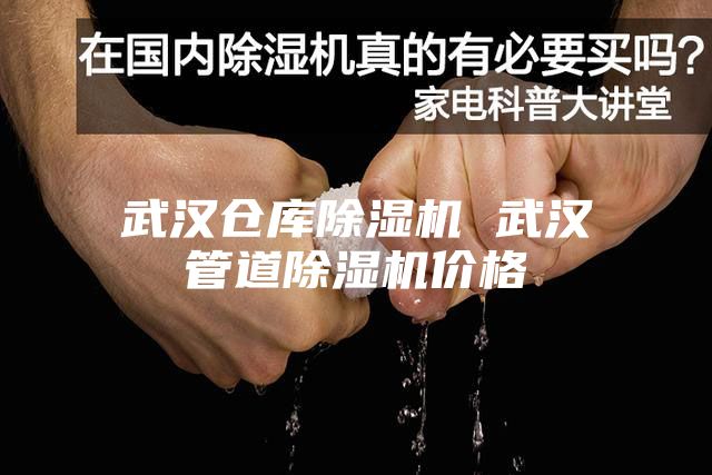 武漢倉(cāng)庫(kù)除濕機(jī) 武漢管道除濕機(jī)價(jià)格