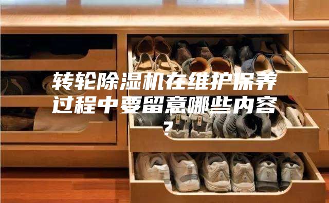 轉(zhuǎn)輪除濕機在維護保養(yǎng)過程中要留意哪些內(nèi)容？