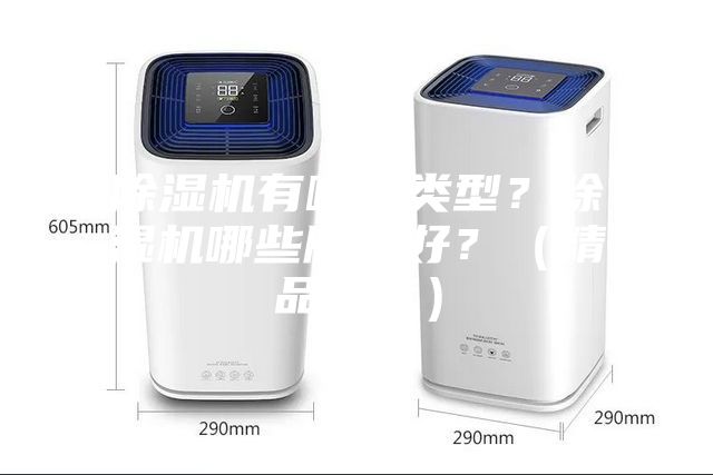 除濕機(jī)有哪些類型？除濕機(jī)哪些牌子好？（精品推薦）