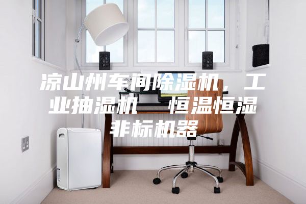 涼山州車間除濕機，工業(yè)抽濕機  恒溫恒濕非標機器