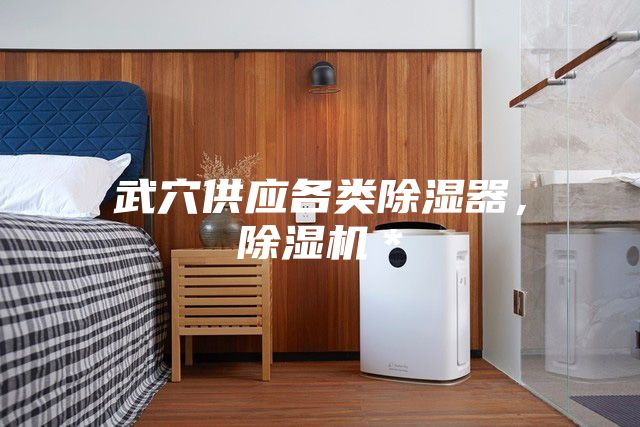 武穴供應(yīng)各類除濕器，除濕機(jī)＊