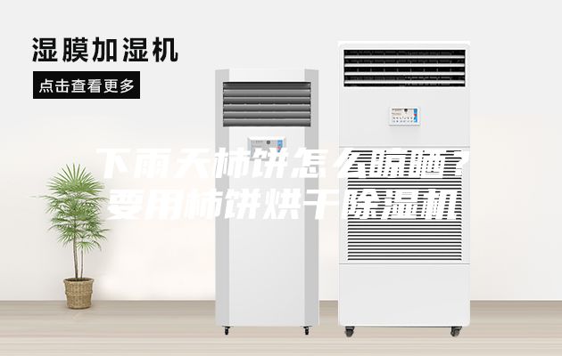 下雨天柿餅怎么晾曬？要用柿餅烘干除濕機(jī)