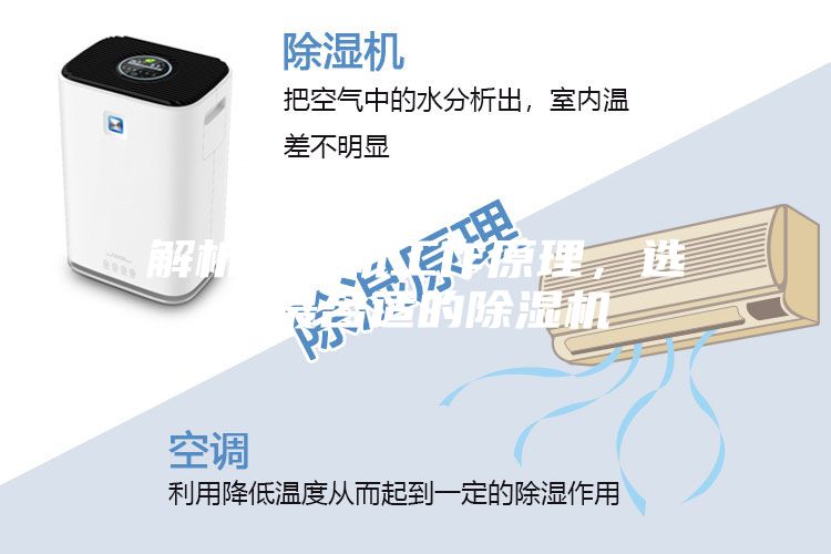 解析壓縮機工作原理，選購最合適的除濕機