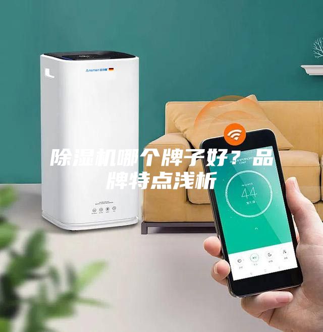 除濕機(jī)哪個(gè)牌子好？品牌特點(diǎn)淺析