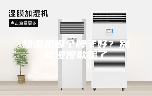 除濕機哪個牌子好？別被傻傻欺騙了