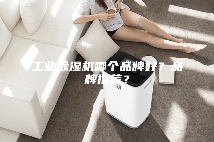工業(yè)除濕機(jī)哪個品牌好？品牌推薦？