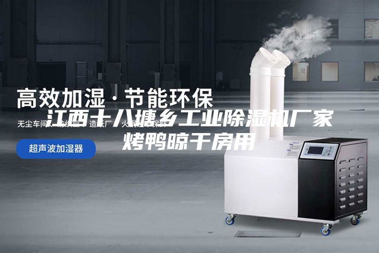 江西十八塘鄉(xiāng)工業(yè)除濕機(jī)廠(chǎng)家烤鴨晾干房用