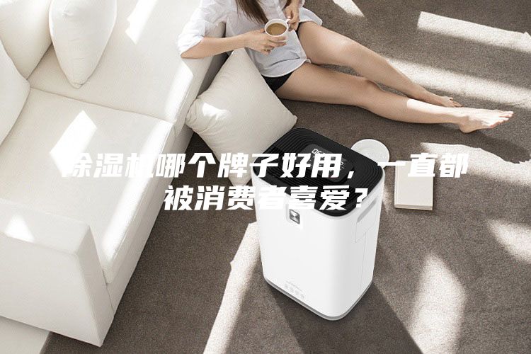 除濕機(jī)哪個(gè)牌子好用，一直都被消費(fèi)者喜愛(ài)？