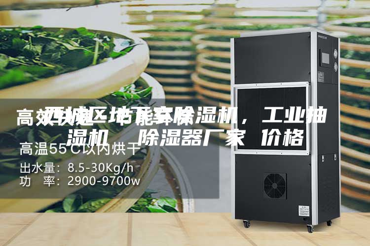 西城區(qū)地下室除濕機(jī)，工業(yè)抽濕機(jī)  除濕器廠家 價(jià)格