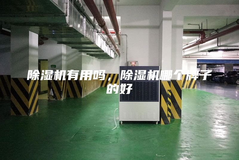 除濕機(jī)有用嗎，除濕機(jī)哪個牌子的好