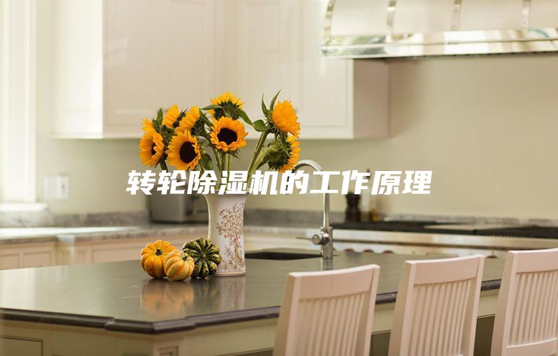 轉(zhuǎn)輪除濕機的工作原理