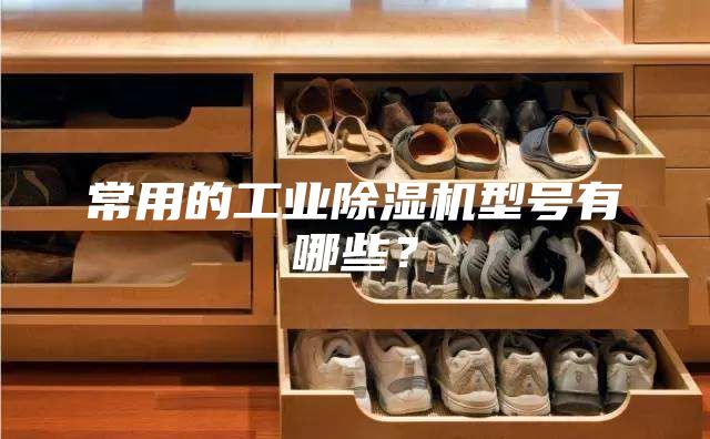 常用的工業(yè)除濕機型號有哪些？