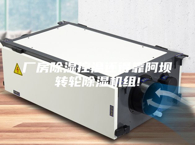 廠房除濕控溫還得靠阿壩轉(zhuǎn)輪除濕機組!