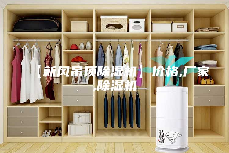 【新風(fēng)吊頂除濕機(jī)】?jī)r(jià)格,廠家,除濕機(jī)