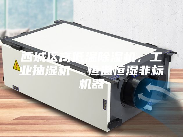 西城區(qū)高低溫除濕機(jī)，工業(yè)抽濕機(jī)  恒溫恒濕非標(biāo)機(jī)器