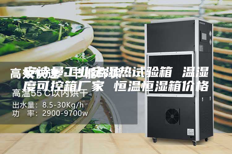 安詩(shī)曼工業(yè)定濕熱試驗(yàn)箱 溫濕度可控箱廠家 恒溫恒濕箱價(jià)格