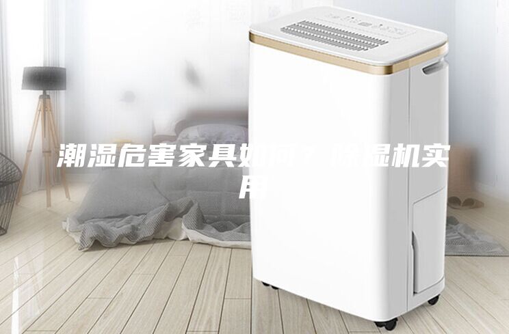 潮濕危害家具如何？除濕機(jī)實(shí)用