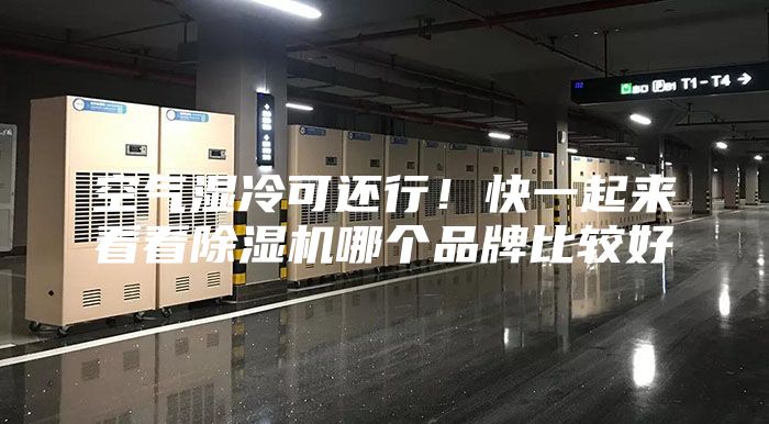 空氣濕冷可還行！快一起來看看除濕機哪個品牌比較好