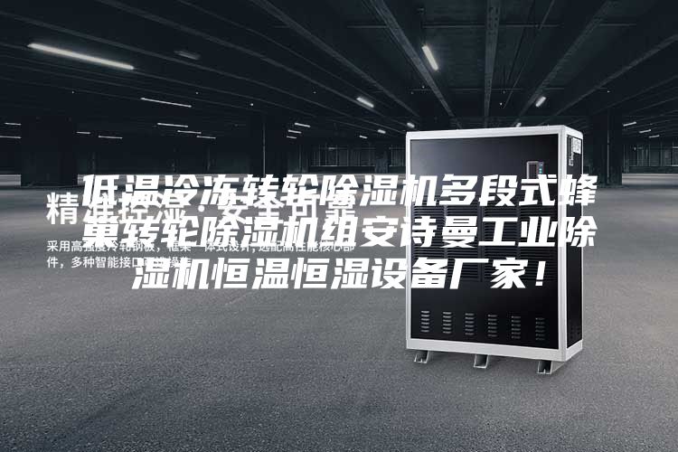 低溫冷凍轉(zhuǎn)輪除濕機(jī)多段式蜂巢轉(zhuǎn)輪除濕機(jī)組安詩(shī)曼工業(yè)除濕機(jī)恒溫恒濕設(shè)備廠家！