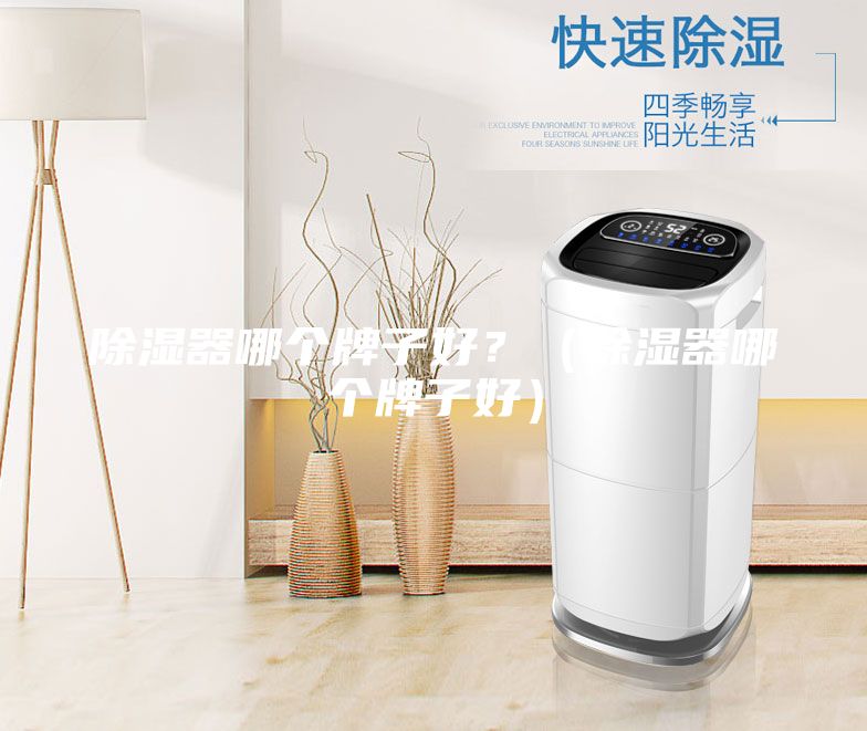 除濕器哪個牌子好？（除濕器哪個牌子好）