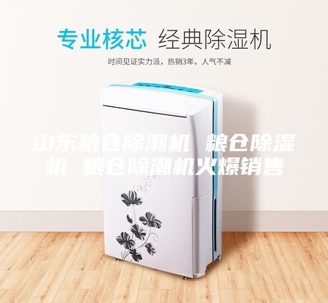 山東糧倉除潮機(jī) 糧倉除濕機(jī) 糧倉除潮機(jī)火爆銷售