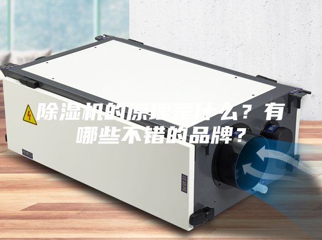 除濕機(jī)的原理是什么？有哪些不錯(cuò)的品牌？