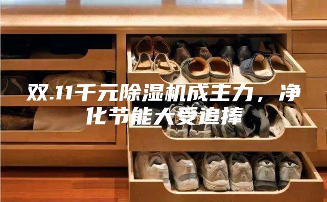 雙.11千元除濕機(jī)成主力，凈化節(jié)能大受追捧