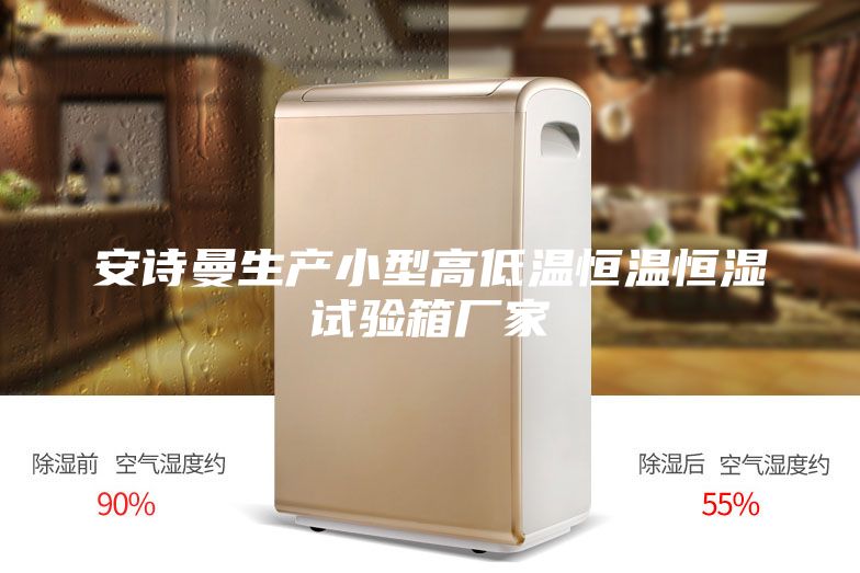 安詩曼生產(chǎn)小型高低溫恒溫恒濕試驗(yàn)箱廠家