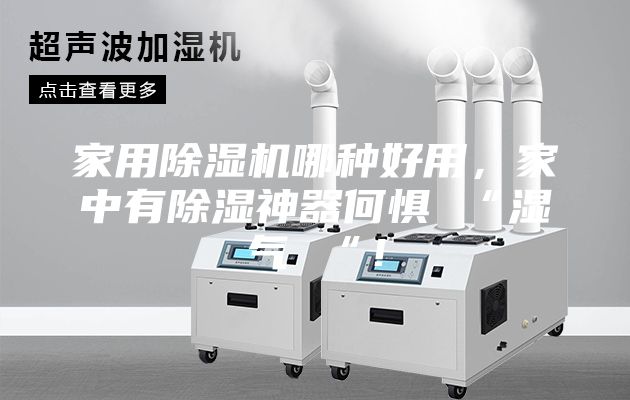 家用除濕機(jī)哪種好用，家中有除濕神器何懼 “濕氣 “！