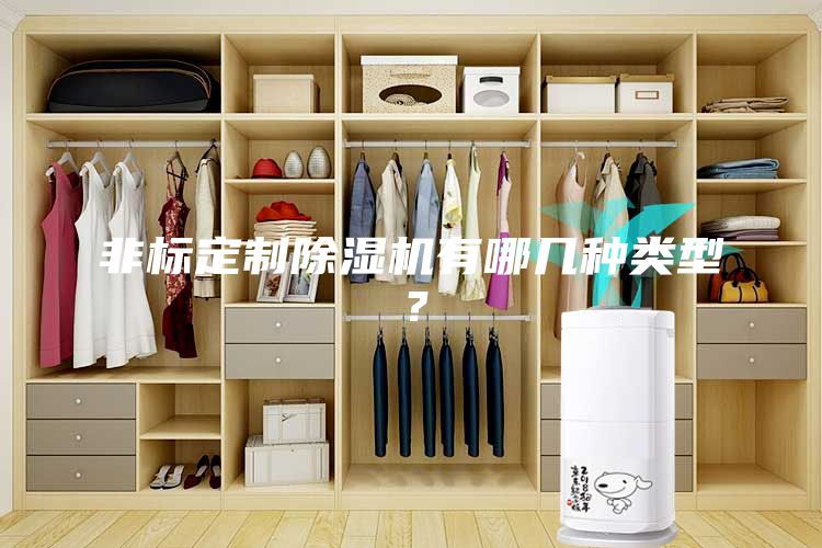 非標(biāo)定制除濕機(jī)有哪幾種類型？