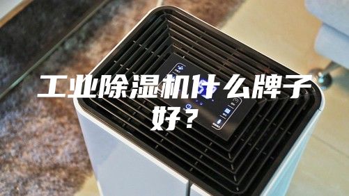 工業(yè)除濕機什么牌子好？