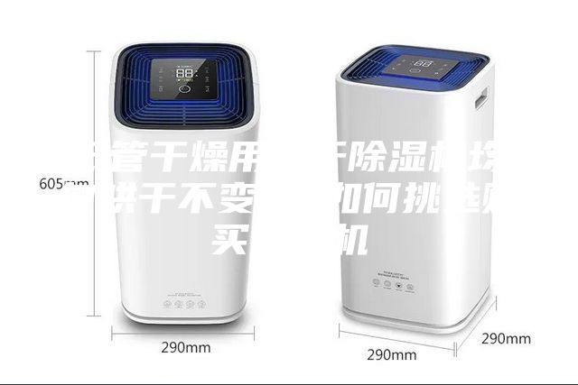 紙管干燥用烘干除濕機(jī)均勻烘干不變形 如何挑選購(gòu)買除濕機(jī)