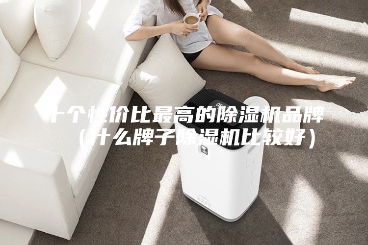 十個性價比最高的除濕機(jī)品牌（什么牌子除濕機(jī)比較好）