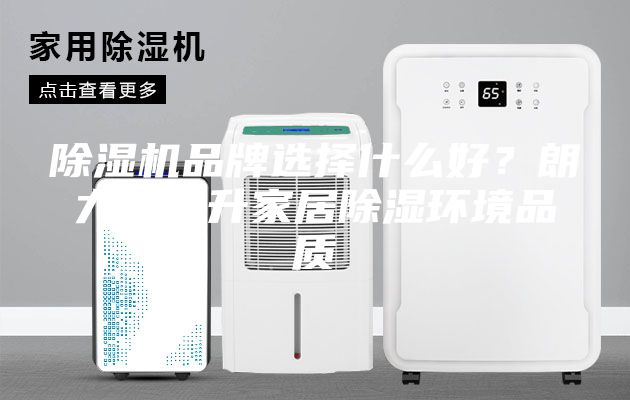 除濕機品牌選擇什么好？朗力信提升家居除濕環(huán)境品質(zhì)