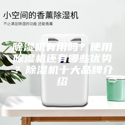 除濕機有用嗎？使用除濕機還有哪些優(yōu)勢？除濕機十大品牌介紹