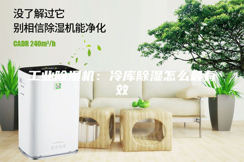 工業(yè)除濕機(jī)：冷庫除濕怎么最有效