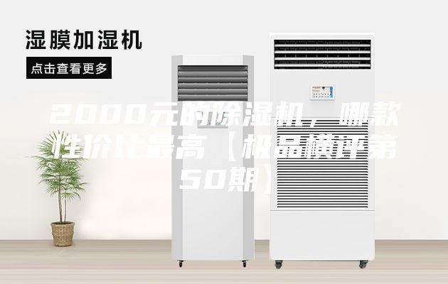2000元的除濕機(jī)，哪款性價比最高【極品橫評第50期】