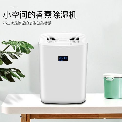 家里濕氣重怎么辦？除濕妙方在此!