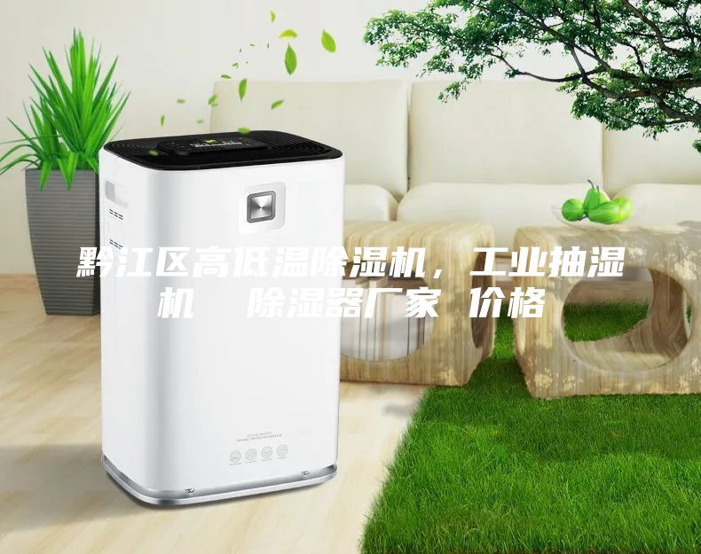 黔江區(qū)高低溫除濕機(jī)，工業(yè)抽濕機(jī)  除濕器廠家 價(jià)格