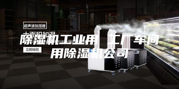 除濕機工業(yè)用 工廠車間用除濕機公司