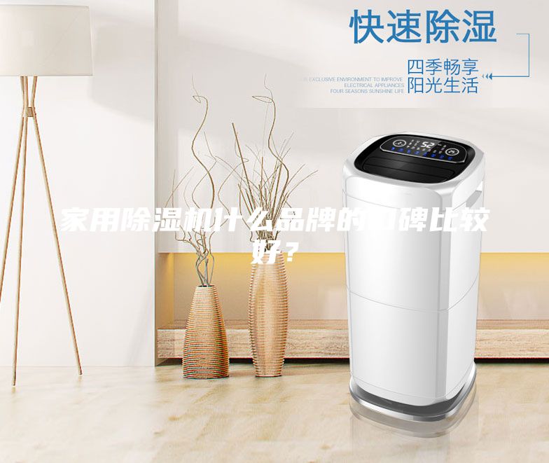 家用除濕機什么品牌的口碑比較好？