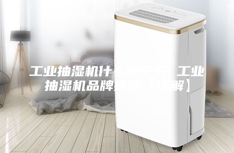工業(yè)抽濕機(jī)什么牌子好 工業(yè)抽濕機(jī)品牌推薦【詳解】